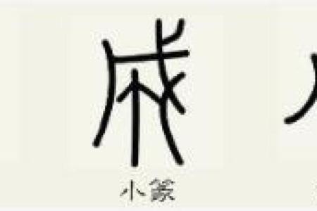 成字五行属什么