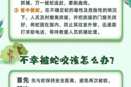 梦见被蛇吃了