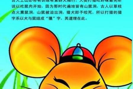2008属鼠一生命运男孩(几点出生的老鼠最有福气)
