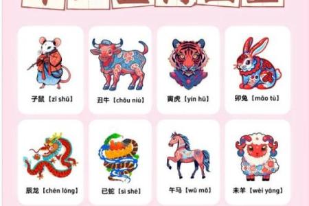 百花盛开代表是什么生肖