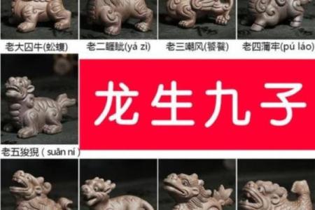 炎黄子孙是什么生肖
