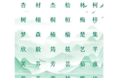 五行缺木不是一般人