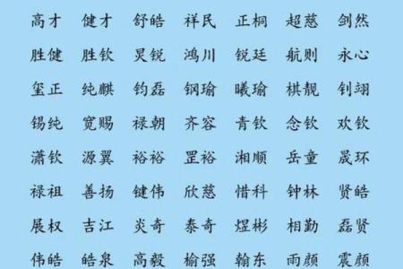 子字五行属什么