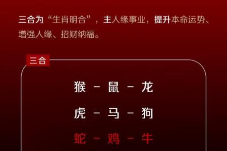 画地为牢打一生肖 画地为牢打一正确生肖最佳答案