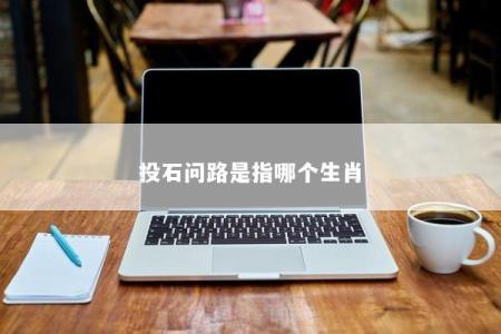投石问路是指哪个生肖