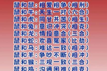 两袖清风打一个正确生肖 两袖清风打一生肖正确答案是马-百...