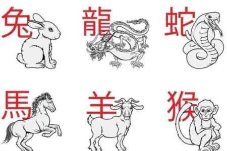 有备无患打一生肖 有备无患打一正确生肖动物