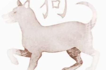 小手小脚是什么生肖