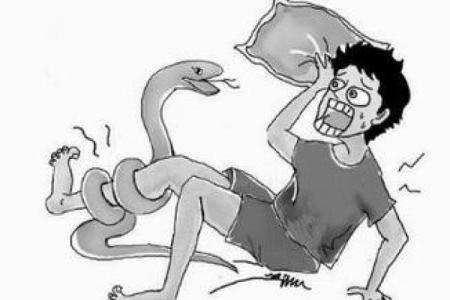 梦到被很多蛇咬是什么意思