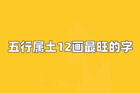 周字五行属什么