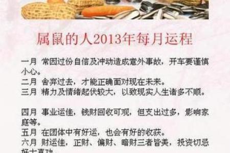 84年女鼠2025年运势(84年女鼠2025年运势完整版)
