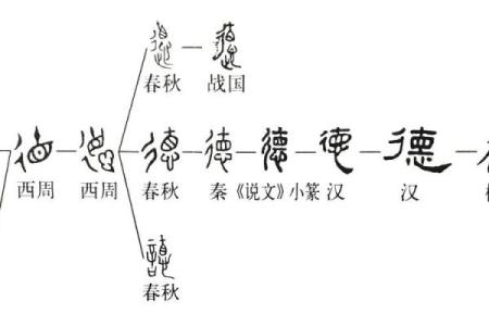 德字五行属什么