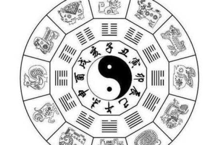 出神入化指什么生肖