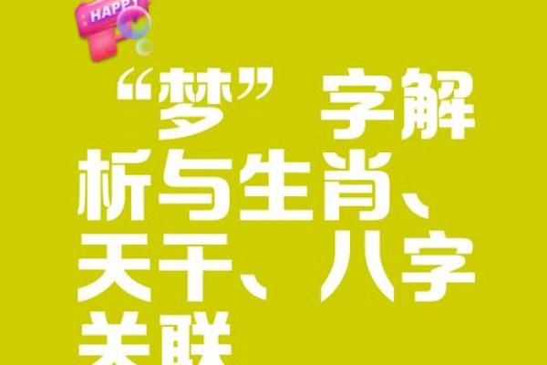 梦字五行属什么