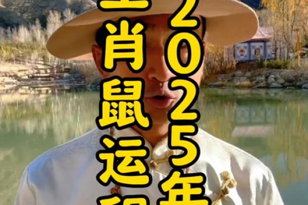 84年属鼠2025年运势及运程详解(84年属鼠2025年运势及运程详解视频)