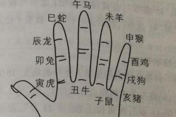 西湖明月猜一生肖 西湖明湖打一准确生肖