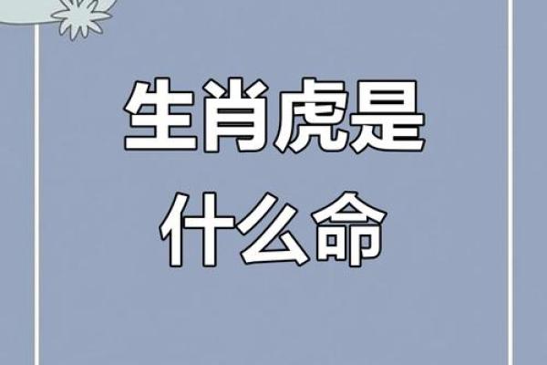 窝儿里横是什么生肖 窝儿里横是什么生肖代表