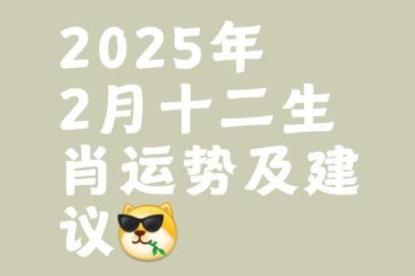 08年的鼠2025年的运势及运程怎么样(08年的鼠2021年怎么样)