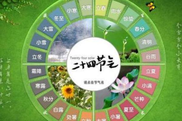 洞庭连天打一生肖