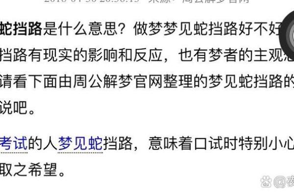 梦到很多蛇是什么征兆 女性周公解梦