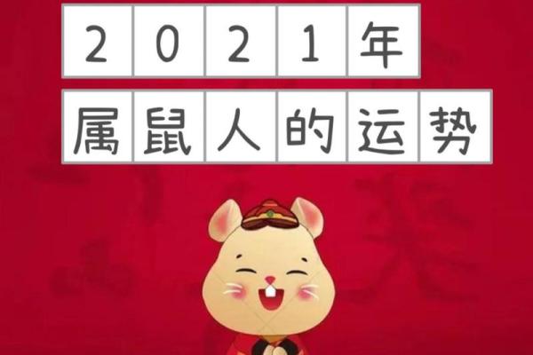 肖鼠今日运势查询(今日运势查询属鼠运势)