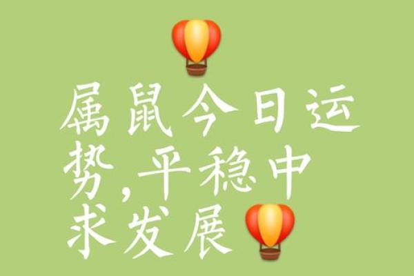 肖鼠今日运势查询(今日运势查询属鼠运势)