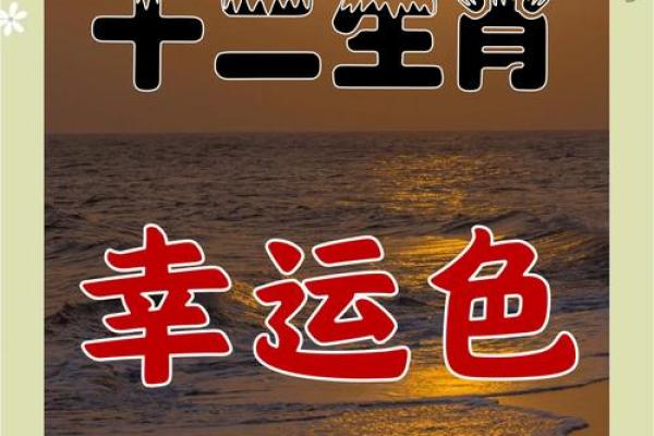 属鼠的人今年财运如何(属鼠的今年财运怎么样2021)