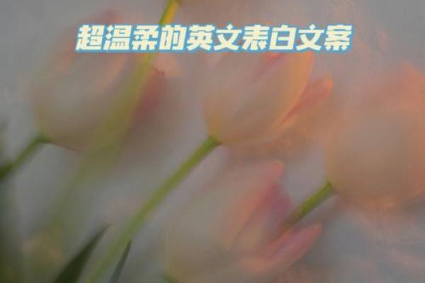 3.14白色情人节发朋友圈的说说 白色情人节发朋友圈的