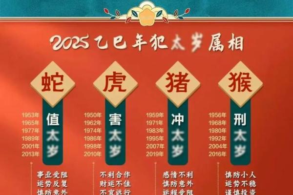 属鼠人2025年运势及运程每月运程(属鼠人2025年运势及运程每月运程详解)