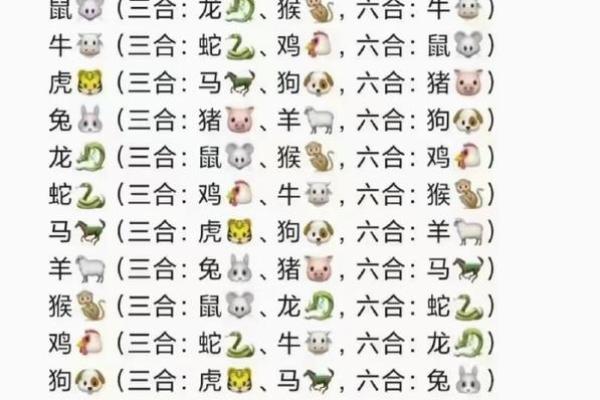 十全十美有几人打一正确生肖 十二生肖谁最十全十美