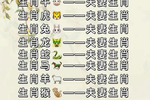 十全十美有几人打一正确生肖 十二生肖谁最十全十美
