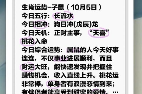 属鼠今日打麻将财运如何(属鼠今日打麻将财运如何褐色)