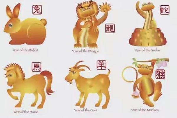 目光如豆指什么生肖 目光如豆打一生肖是什么生肖