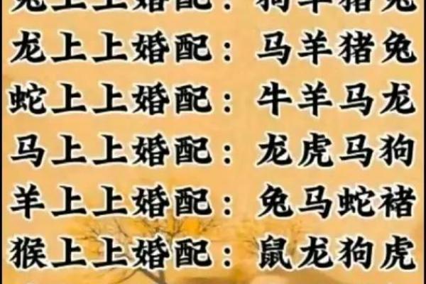 容易得大病的三大生肖