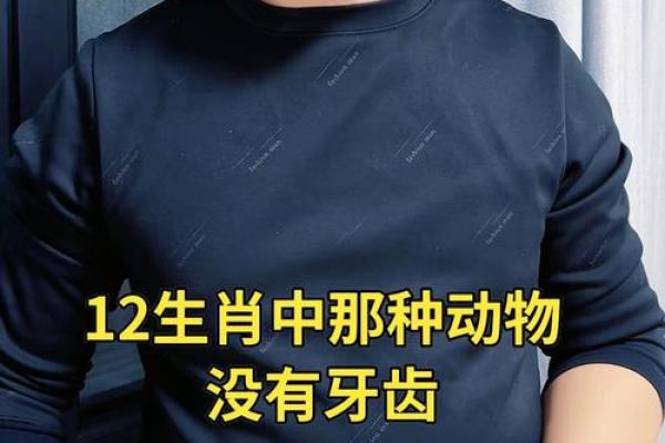 伶牙俐齿打一动物生肖