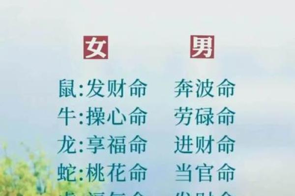 一生只以食为天是什么生肖