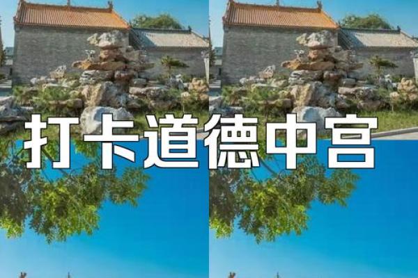 呼风唤雨佳中宫指什么生肖 呼风唤雨佳中宫打一正确生肖-百...