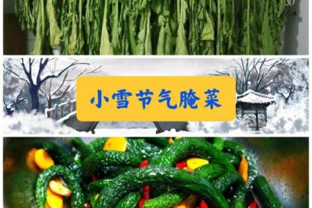 小雪节气的风俗食物 小雪的风俗活动有哪些