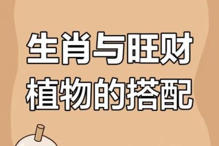 南北通商解一生肖 南北打一生肖是什么