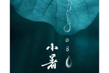 小暑是什么意思呢 24节气小暑的含义解释