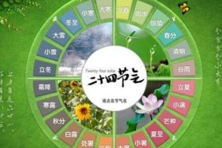 洞庭连天打一生肖