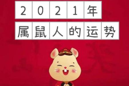 肖鼠今日运势查询(今日运势查询属鼠运势)