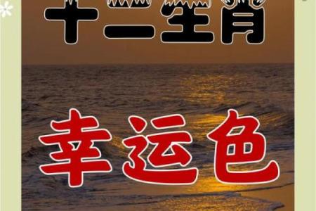 属鼠的人今年财运如何(属鼠的今年财运怎么样2021)