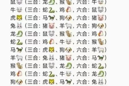 十全十美有几人打一正确生肖 十二生肖谁最十全十美