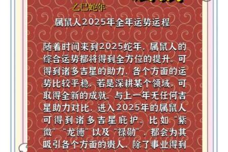 鼠今年的运势如何2025(鼠今年的运势如何2024有牢牢狱之灾)