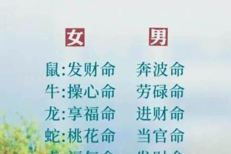 一生只以食为天是什么生肖