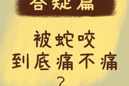 梦到让蛇给咬了