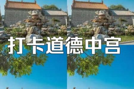 呼风唤雨佳中宫指什么生肖 呼风唤雨佳中宫打一正确生肖-百...