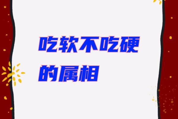 软硬不吃打一生肖 吃软不吃硬的4个生肖动物
