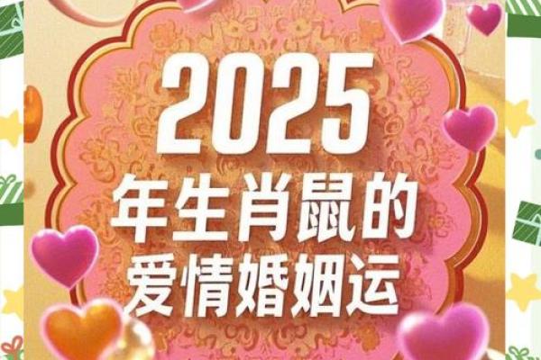 1996的鼠2025年运气怎么样(1996年属鼠未来十年运势)